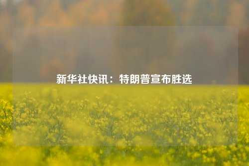 新华社快讯：特朗普宣布胜选