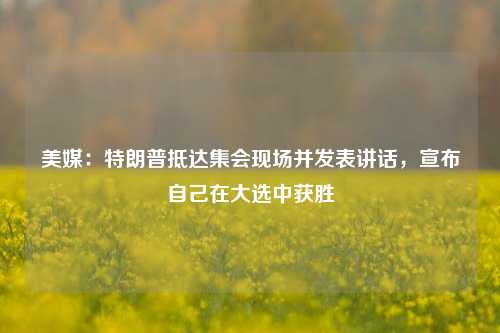 美媒：特朗普抵达集会现场并发表讲话，宣布自己在大选中获胜