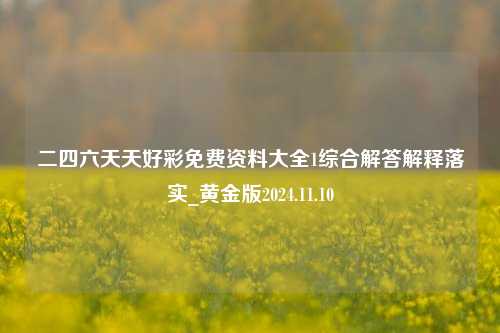 二四六天天好彩免费资料大全1综合解答解释落实_黄金版2024.11.10