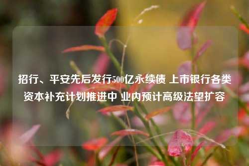 招行、平安先后发行500亿永续债 上市银行各类资本补充计划推进中 业内预计高级法望扩容