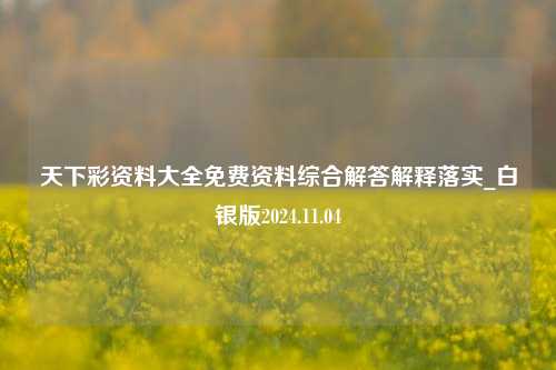 天下彩资料大全免费资料综合解答解释落实_白银版2024.11.04