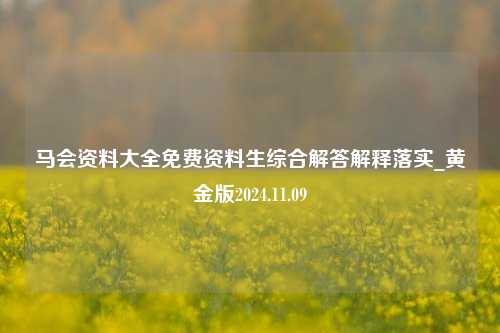 马会资料大全免费资料生综合解答解释落实_黄金版2024.11.09