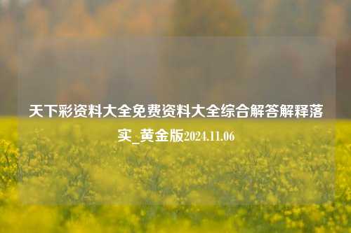 天下彩资料大全免费资料大全综合解答解释落实_黄金版2024.11.06