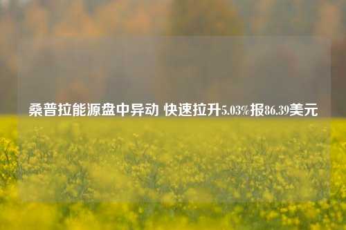 桑普拉能源盘中异动 快速拉升5.03%报86.39美元