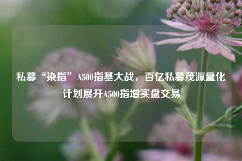 私募“染指”A500指基大战，百亿私募茂源量化计划展开A500指增实盘交易