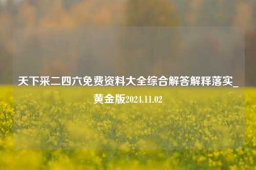 天下采二四六免费资料大全综合解答解释落实_黄金版2024.11.02