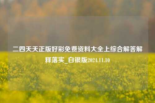 二四天天正版好彩免费资料大全上综合解答解释落实_白银版2024.11.10