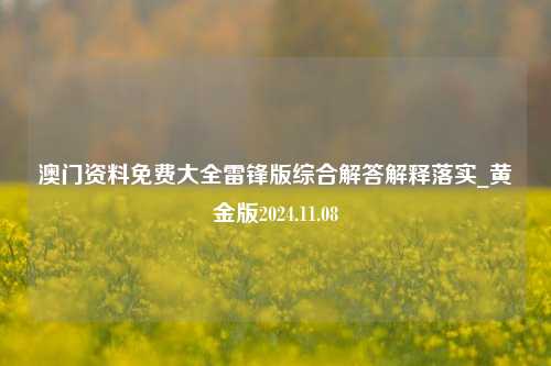 澳门资料免费大全雷锋版综合解答解释落实_黄金版2024.11.08