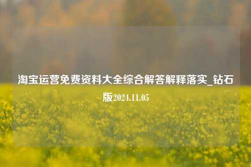 淘宝运营免费资料大全综合解答解释落实_钻石版2024.11.05