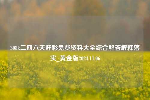 308k二四六天好彩免费资料大全综合解答解释落实_黄金版2024.11.06