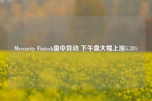 Mercurity Fintech盘中异动 下午盘大幅上涨5.78%