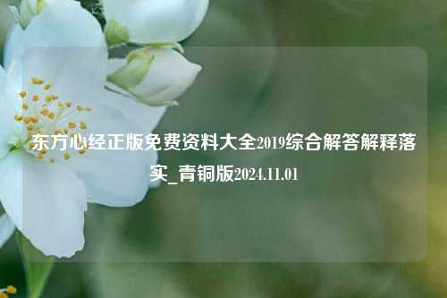 东方心经正版免费资料大全2019综合解答解释落实_青铜版2024.11.01