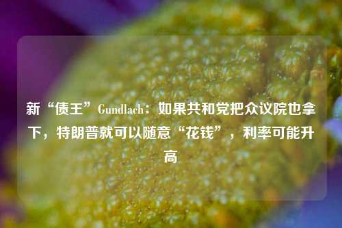 新“债王”Gundlach：如果共和党把众议院也拿下，特朗普就可以随意“花钱”，利率可能升高