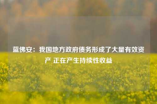 蓝佛安：我国地方政府债务形成了大量有效资产 正在产生持续性收益