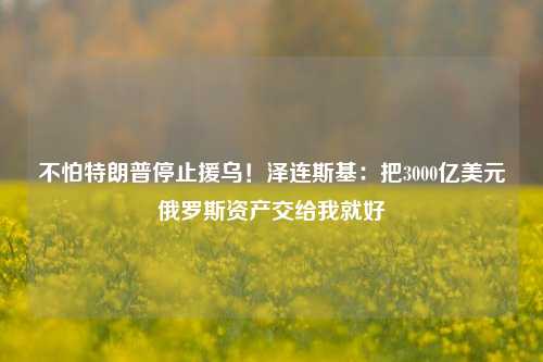 不怕特朗普停止援乌！泽连斯基：把3000亿美元俄罗斯资产交给我就好