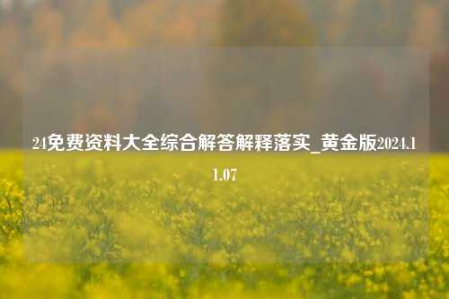 24免费资料大全综合解答解释落实_黄金版2024.11.07