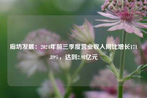 廊坊发展：2024年前三季度营业收入同比增长171.89%，达到2.98亿元