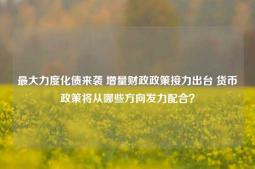 最大力度化债来袭 增量财政政策接力出台 货币政策将从哪些方向发力配合？