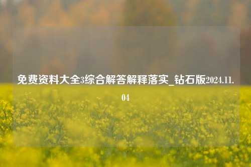 免费资料大全3综合解答解释落实_钻石版2024.11.04