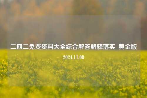 二四二免费资料大全综合解答解释落实_黄金版2024.11.08