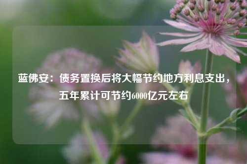 蓝佛安：债务置换后将大幅节约地方利息支出，五年累计可节约6000亿元左右