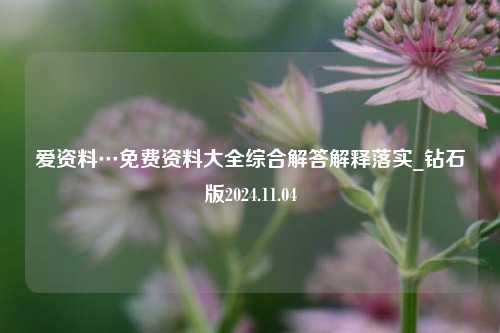 爱资料…免费资料大全综合解答解释落实_钻石版2024.11.04