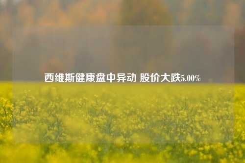 西维斯健康盘中异动 股价大跌5.00%