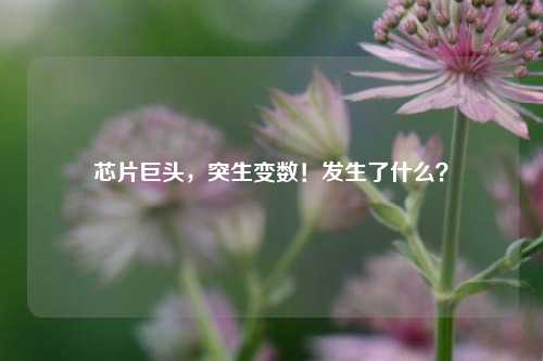 芯片巨头，突生变数！发生了什么？