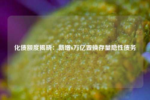 化债额度揭晓：新增6万亿置换存量隐性债务