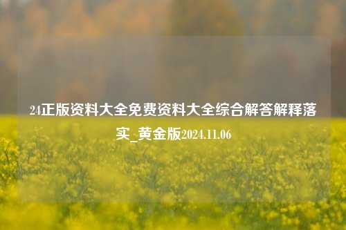 24正版资料大全免费资料大全综合解答解释落实_黄金版2024.11.06