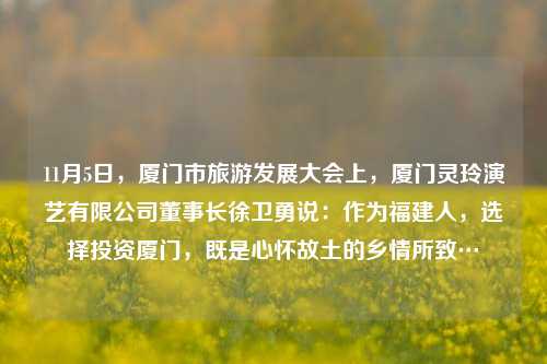 11月5日，厦门市旅游发展大会上，厦门灵玲演艺有限公司董事长徐卫勇说：作为福建人，选择投资厦门，既是心怀故土的乡情所致…