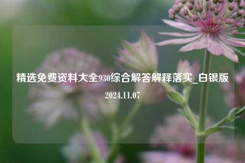 精选免费资料大全930综合解答解释落实_白银版2024.11.07