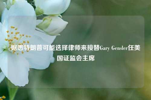 据悉特朗普可能选择律师来接替Gary Gensler任美国证监会主席