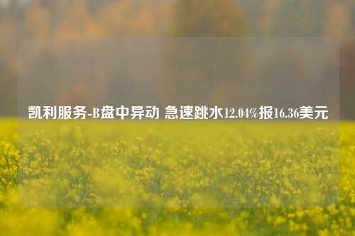 凯利服务-B盘中异动 急速跳水12.04%报16.36美元