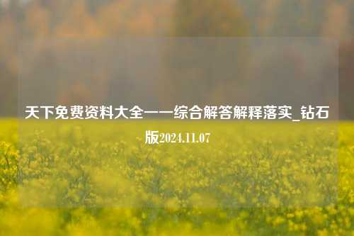 天下免费资料大全一一综合解答解释落实_钻石版2024.11.07