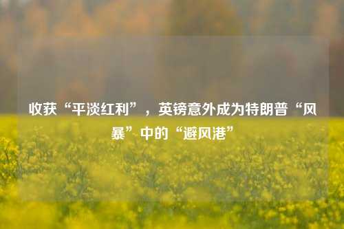 收获“平淡红利”，英镑意外成为特朗普“风暴”中的“避风港”