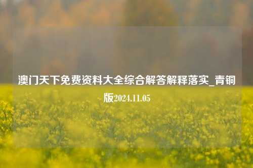 澳门天下免费资料大全综合解答解释落实_青铜版2024.11.05