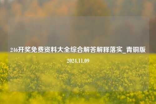 246开奖免费资料大全综合解答解释落实_青铜版2024.11.09