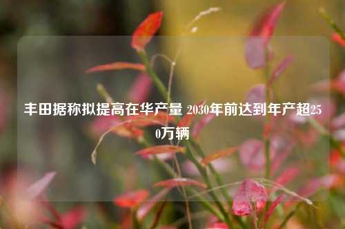 丰田据称拟提高在华产量 2030年前达到年产超250万辆