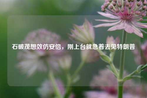 石破茂想效仿安倍，刚上台就急着去见特朗普