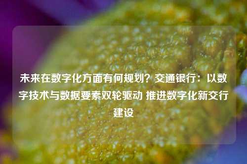 未来在数字化方面有何规划？交通银行：以数字技术与数据要素双轮驱动 推进数字化新交行建设