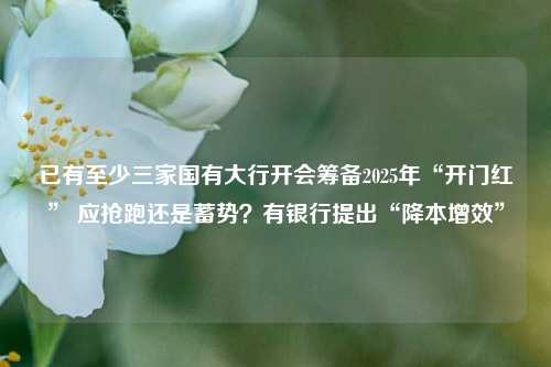 已有至少三家国有大行开会筹备2025年“开门红” 应抢跑还是蓄势？有银行提出“降本增效”