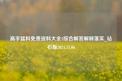 高手猛料免费资料大全1综合解答解释落实_钻石版2024.11.06