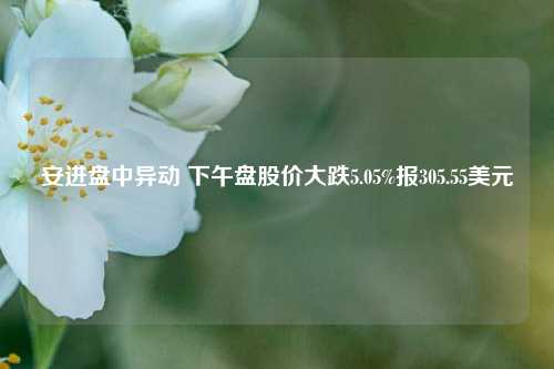 安进盘中异动 下午盘股价大跌5.05%报305.55美元