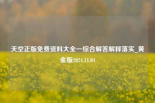 天空正版免费资料大全一综合解答解释落实_黄金版2024.11.04