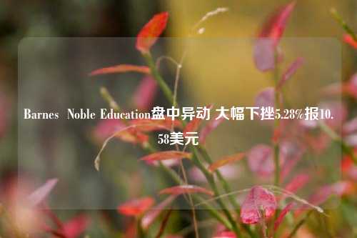 Barnes  Noble Education盘中异动 大幅下挫5.28%报10.58美元