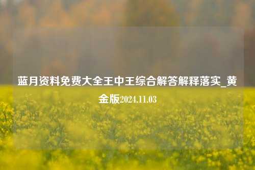 蓝月资料免费大全王中王综合解答解释落实_黄金版2024.11.03