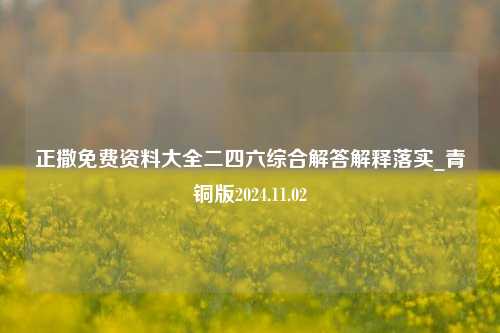 正撒免费资料大全二四六综合解答解释落实_青铜版2024.11.02