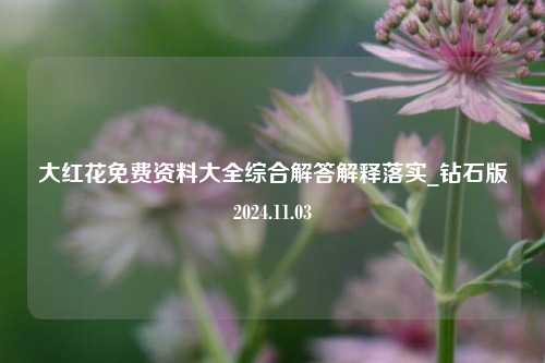 大红花免费资料大全综合解答解释落实_钻石版2024.11.03