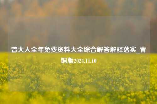 曾大人全年免费资料大全综合解答解释落实_青铜版2024.11.10